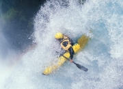 开云官方app入口-南美风暴席卷非洲雄鹰，贝林厄姆关键一击，厄瓜多尔击溃尼日利亚的战术解析