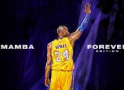 开云体育app-奥运周期关键战焦点战，公牛稳稳拿下猛龙，展现团队韧性