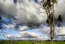 开云平台-哈登关键三分如利刃出鞘，勇士提前终结悬念令森林狼俯首